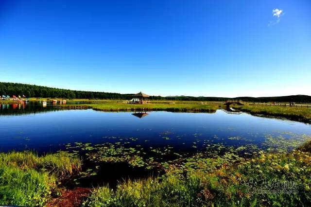 内蒙古草原旅游攻略必玩_内蒙古攻略草原旅游胜地_内蒙古草原旅游攻略