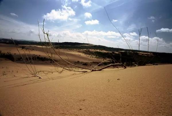 内蒙古攻略草原旅游胜地_内蒙古草原旅游攻略必玩_内蒙古草原旅游攻略