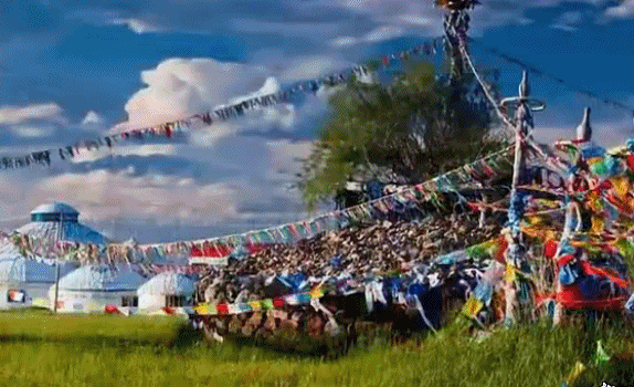 内蒙古草原旅游攻略_内蒙古草原旅游攻略必玩_内蒙古攻略草原旅游胜地