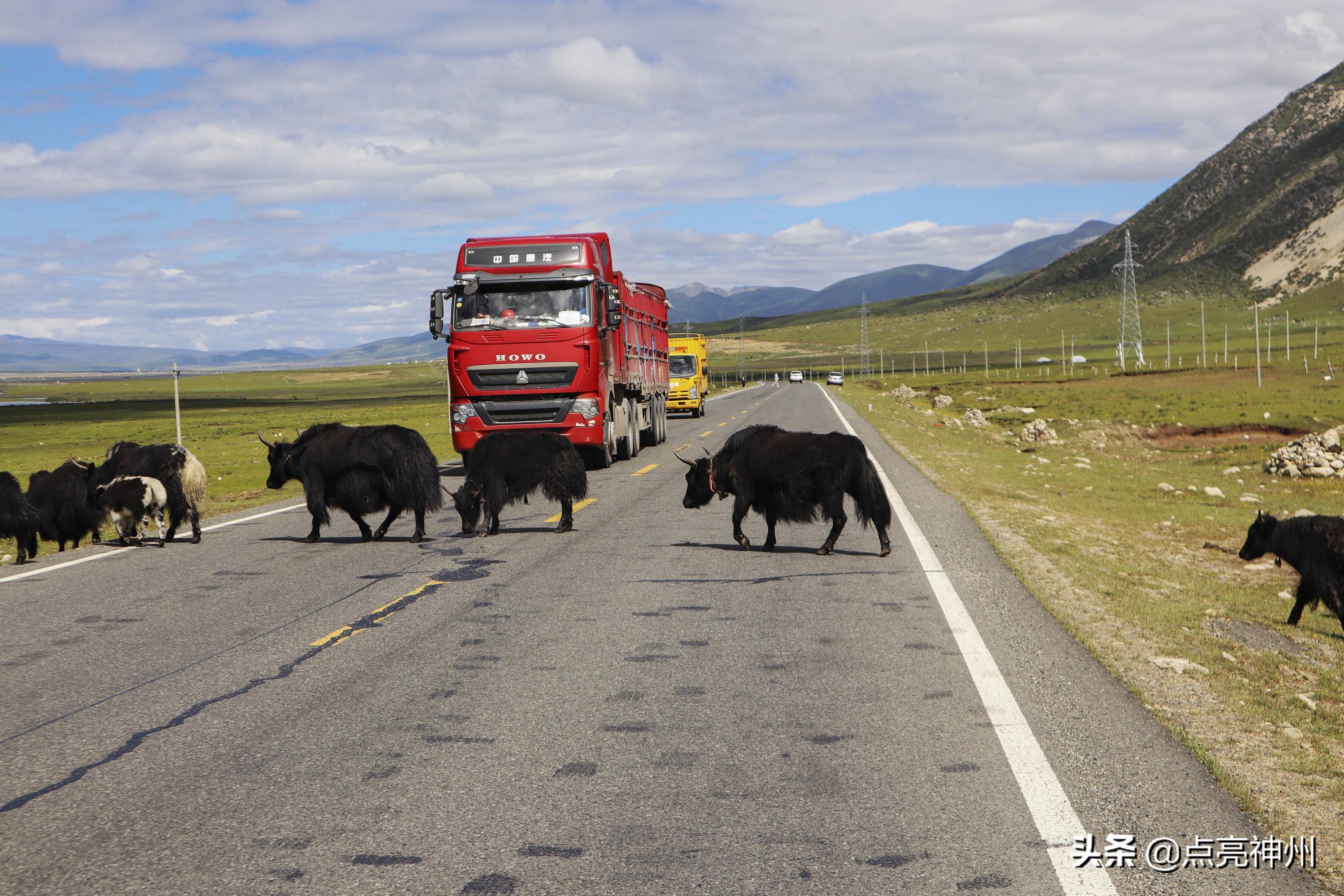 西藏墨脱有什么景点_西藏墨脱旅游景点笔记_西藏墨脱旅游攻略