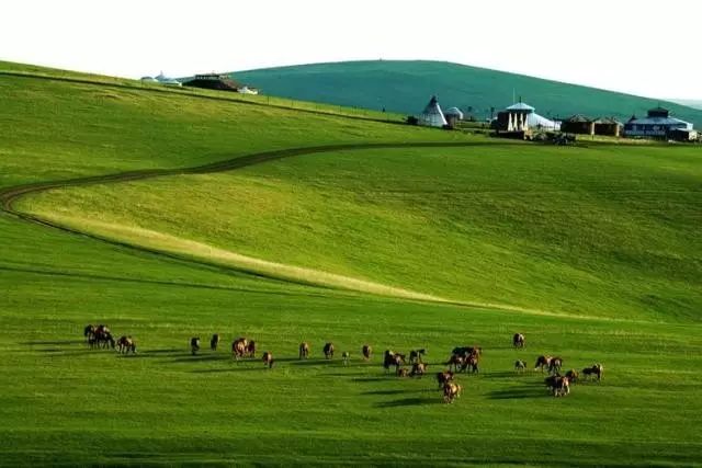 内蒙古草原旅游线路_内蒙古攻略草原旅游线路_内蒙古草原旅游攻略
