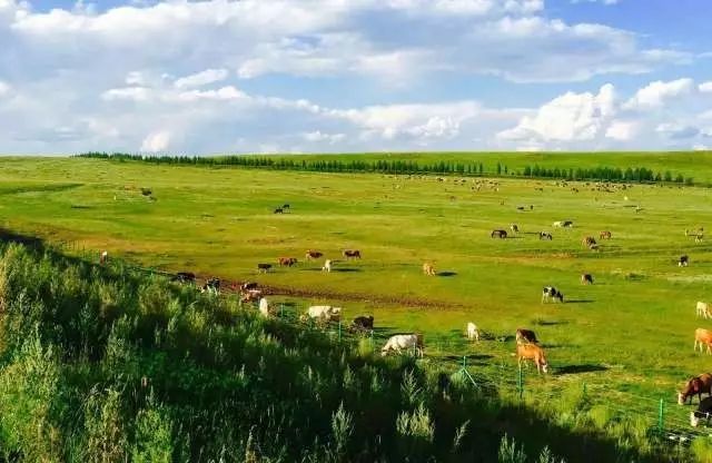 内蒙古攻略草原旅游线路_内蒙古草原旅游线路_内蒙古草原旅游攻略