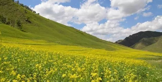 内蒙古攻略草原旅游线路_内蒙古草原旅游线路_内蒙古草原旅游攻略