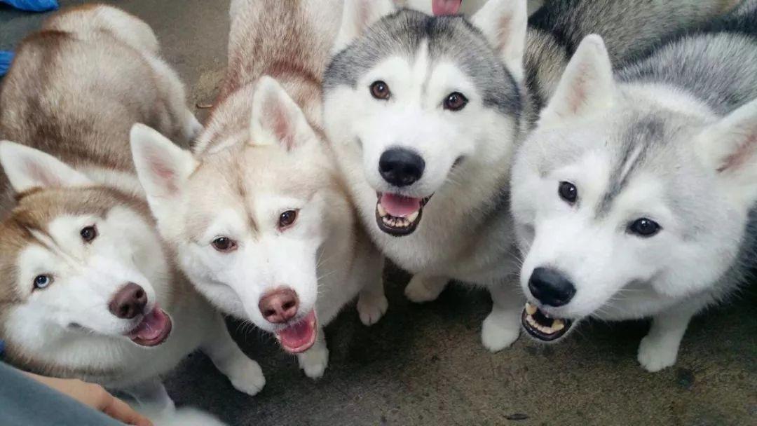 曼谷旅游攻略地_曼谷旅游胜地_攻略曼谷旅游地点