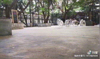 曼谷旅游攻略地_攻略曼谷旅游地点_曼谷旅游胜地