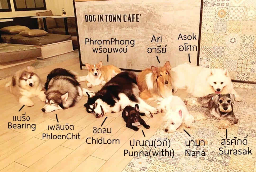 曼谷旅游攻略地_攻略曼谷旅游地点_曼谷旅游胜地