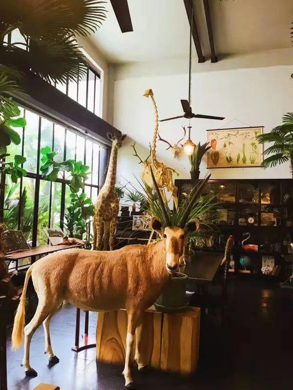 曼谷旅游胜地_攻略曼谷旅游地点_曼谷旅游攻略地