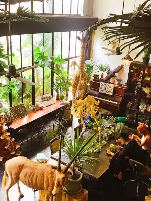 曼谷旅游胜地_攻略曼谷旅游地点_曼谷旅游攻略地