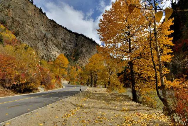 西藏墨脱旅游攻略_西藏墨脱值得去吗_西藏墨脱有什么景点