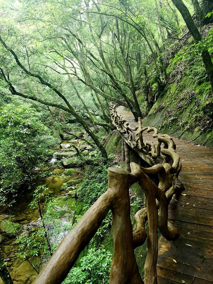 甘肃天水景点_甘肃天水旅游攻略游记_甘肃天水康县旅游攻略