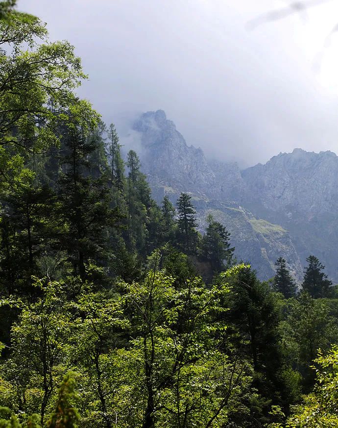 甘肃天水景点_甘肃天水康县旅游攻略_甘肃天水旅游攻略游记