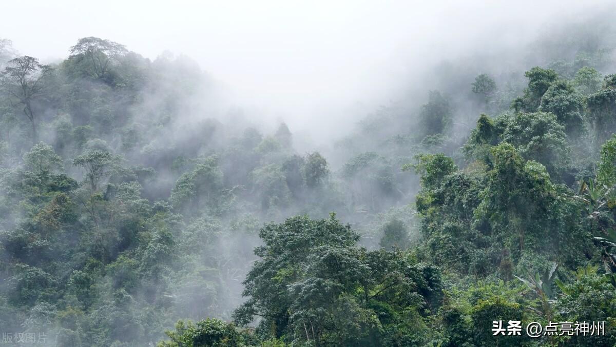 西藏墨脱旅游视频_西藏墨脱旅游攻略_西藏墨脱旅游景点笔记