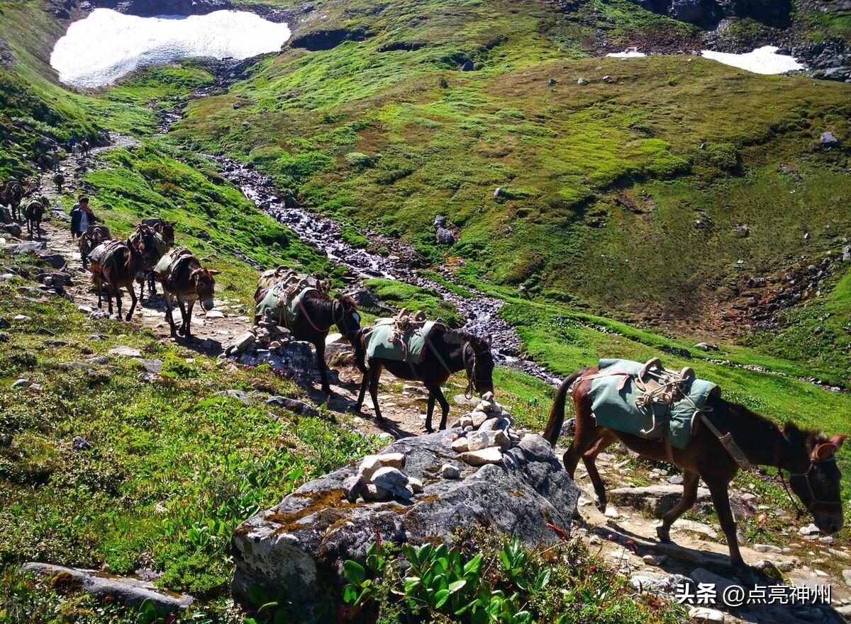 西藏墨脱旅游攻略_西藏墨脱旅游视频_西藏墨脱旅游景点笔记