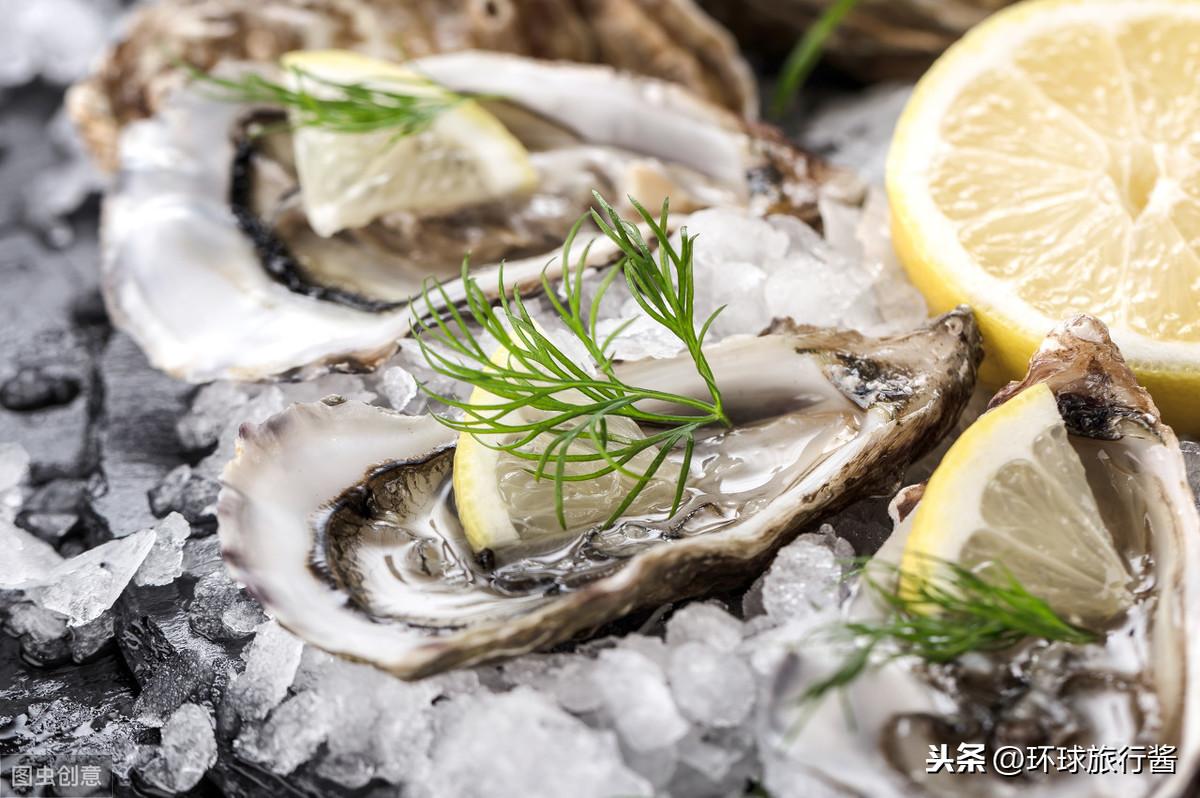 悉尼攻略旅游路线_悉尼旅游攻略_悉尼攻略游记