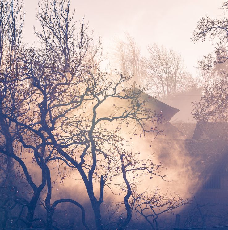 剑川沙溪古镇旅游攻略-剑川沙溪古镇旅游攻略马蜂窝(图40) 剑川沙溪古镇旅游攻略马蜂窝_剑川沙溪古镇旅游攻略_剑川沙溪古镇游玩攻略