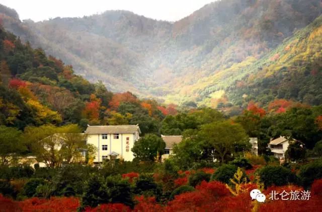 北仑九峰山旅游攻略-攻略旅游北仑峰山路线(图8) 北仑九峰山旅游攻略_攻略旅游北仑峰山路线_北仑白峰哪里好玩