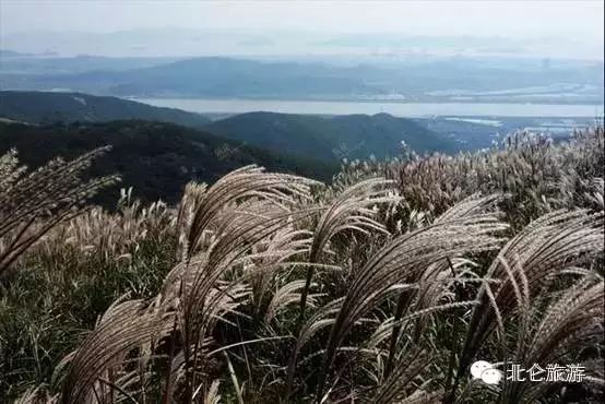 北仑九峰山旅游攻略-攻略旅游北仑峰山路线(图12) 北仑白峰哪里好玩_攻略旅游北仑峰山路线_北仑九峰山旅游攻略