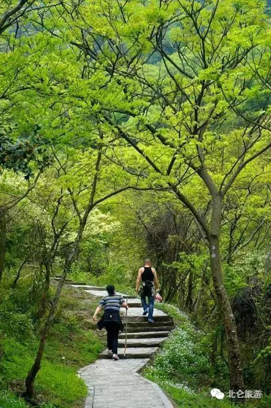 北仑九峰山旅游攻略-攻略旅游北仑峰山路线(图13) 攻略旅游北仑峰山路线_北仑九峰山旅游攻略_北仑白峰哪里好玩