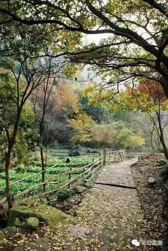 北仑九峰山旅游攻略-攻略旅游北仑峰山路线(图14) 北仑白峰哪里好玩_攻略旅游北仑峰山路线_北仑九峰山旅游攻略