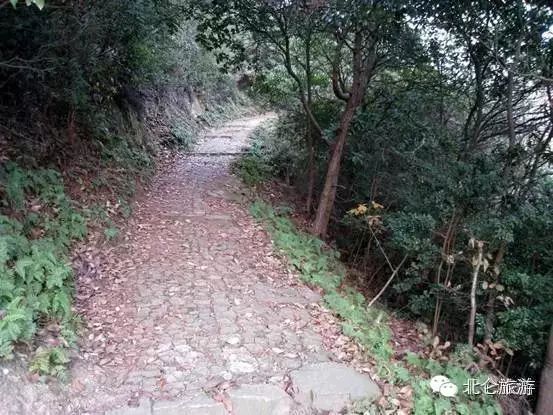 北仑九峰山旅游攻略-攻略旅游北仑峰山路线(图15) 北仑白峰哪里好玩_北仑九峰山旅游攻略_攻略旅游北仑峰山路线
