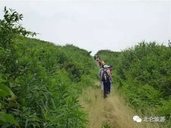 北仑九峰山旅游攻略-攻略旅游北仑峰山路线(图19) 攻略旅游北仑峰山路线_北仑九峰山旅游攻略_北仑白峰哪里好玩