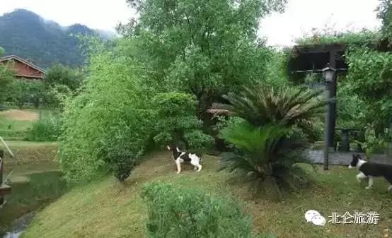 北仑九峰山旅游攻略-攻略旅游北仑峰山路线(图26) 攻略旅游北仑峰山路线_北仑白峰哪里好玩_北仑九峰山旅游攻略