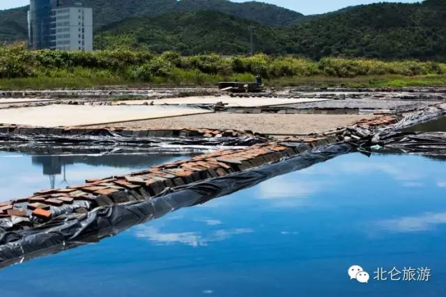 北仑九峰山旅游攻略-攻略旅游北仑峰山路线(图33) 攻略旅游北仑峰山路线_北仑九峰山旅游攻略_北仑白峰哪里好玩