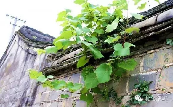 北仑九峰山旅游攻略-攻略旅游北仑峰山路线(图43) 北仑九峰山旅游攻略_攻略旅游北仑峰山路线_北仑白峰哪里好玩