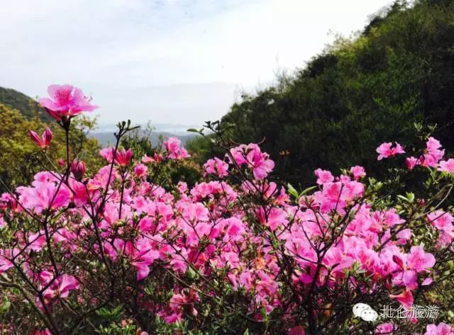 北仑九峰山旅游攻略-攻略旅游北仑峰山路线(图44) 攻略旅游北仑峰山路线_北仑九峰山旅游攻略_北仑白峰哪里好玩