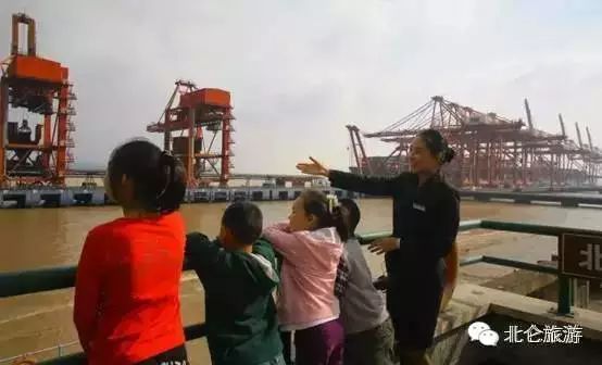 北仑九峰山旅游攻略-攻略旅游北仑峰山路线(图46) 北仑九峰山旅游攻略_北仑白峰哪里好玩_攻略旅游北仑峰山路线