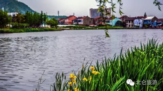 北仑九峰山旅游攻略-攻略旅游北仑峰山路线(图6) 攻略旅游北仑峰山路线_北仑九峰山旅游攻略_北仑白峰哪里好玩