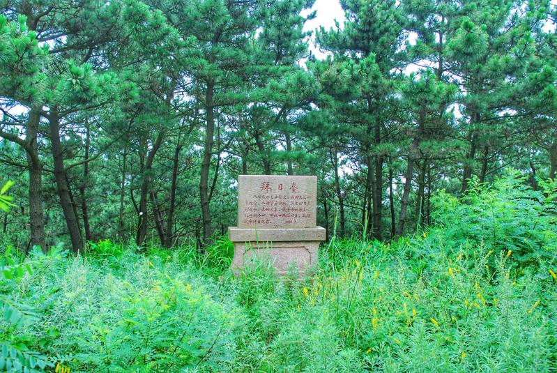天津到南戴河旅游攻略_天津去南戴河景区自驾几小时_天津到南戴河旅游团
