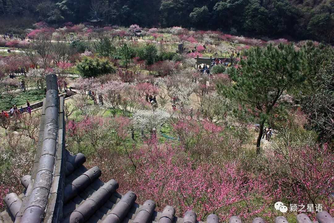 北仑九峰山旅游攻略-攻略旅游北仑峰山路线(图9) 攻略旅游北仑峰山路线_宁波北仑山_北仑九峰山旅游攻略