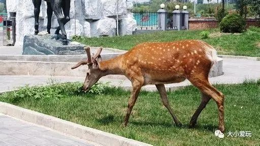 怀柔雁栖湖旅游攻略-怀柔雁栖湖有什么好玩的地方(图18) 怀柔雁栖湖旅游攻略_北京怀柔雁栖湖附近酒店_怀柔雁栖湖有什么好玩的地方
