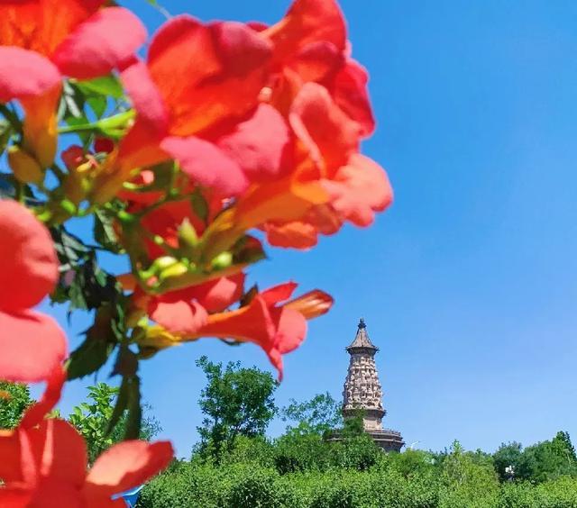 河北石家庄旅游攻略_石家庄旅游路线推荐_石家庄攻略河北旅游路线