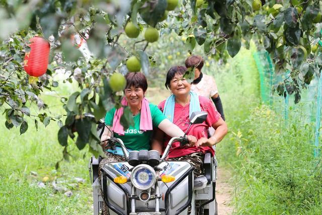 河北石家庄旅游攻略_石家庄旅游路线推荐_石家庄攻略河北旅游路线