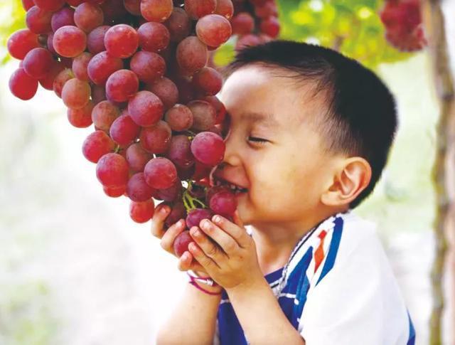 河北石家庄旅游攻略_石家庄攻略河北旅游路线_石家庄旅游路线推荐