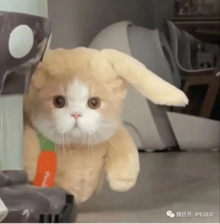 怀柔雁栖湖旅游攻略-怀柔雁栖湖门票价格(图37) 怀柔雁栖湖旅游攻略_北京怀柔雁栖湖景区图片_怀柔雁栖湖门票价格