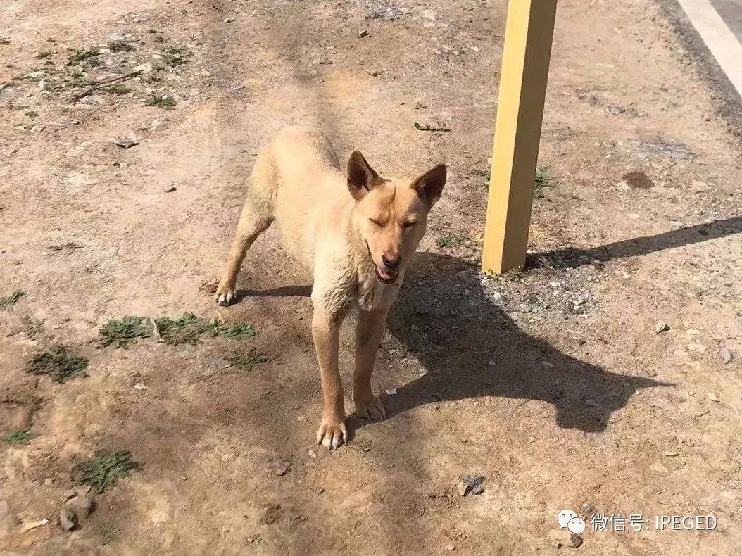 怀柔雁栖湖旅游攻略-怀柔雁栖湖门票价格(图44) 怀柔雁栖湖门票价格_北京怀柔雁栖湖景区图片_怀柔雁栖湖旅游攻略