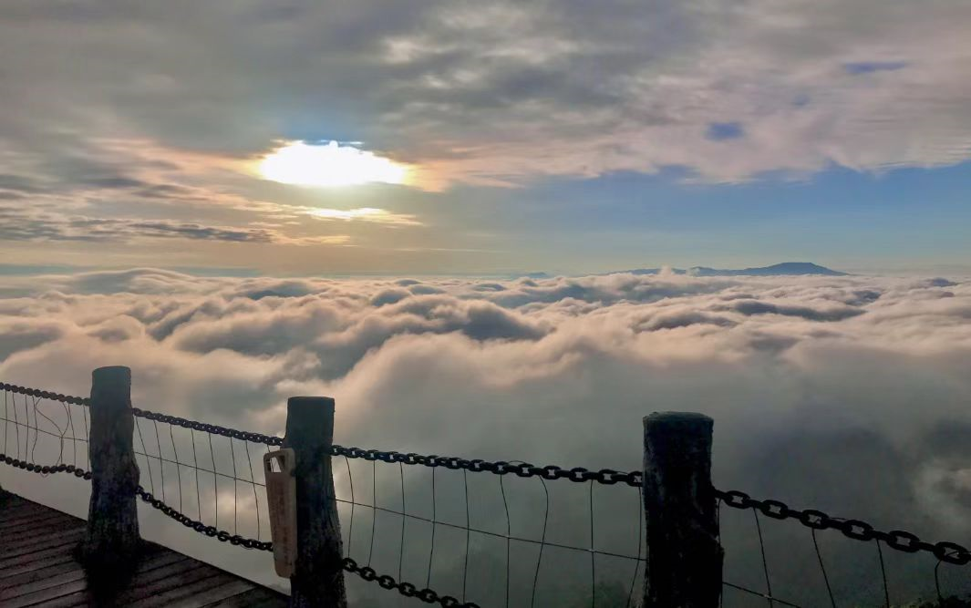 郴州莽山旅游攻略自驾游_广州到郴州莽山,东江湖旅游攻略_郴州莽山怎么玩