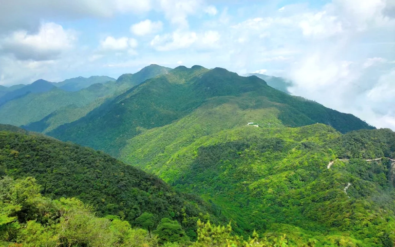 郴州莽山怎么玩_郴州莽山旅游攻略自驾游_广州到郴州莽山,东江湖旅游攻略