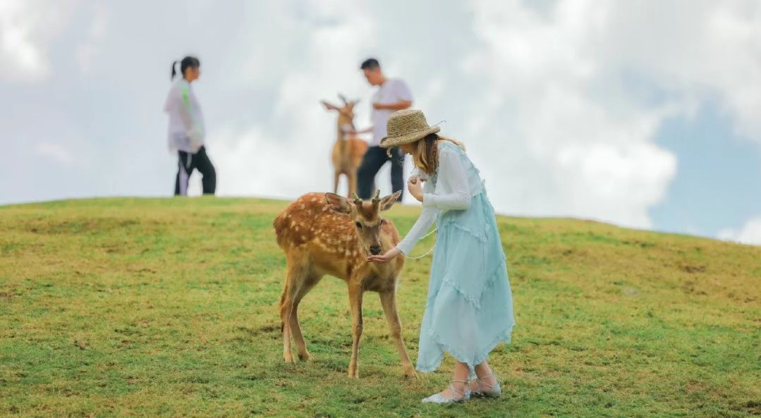 郴州莽山怎么玩_广州到郴州莽山,东江湖旅游攻略_郴州莽山旅游攻略自驾游