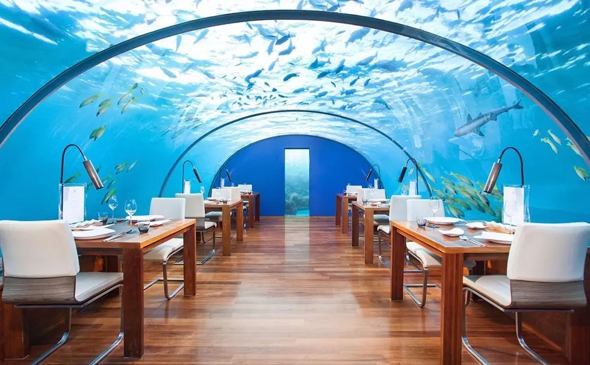 十一月马尔代夫旅游攻略-马尔代夫旅游游记(图12) 马尔代夫旅游游记_十一月马尔代夫旅游攻略_马尔代夫旅游项目