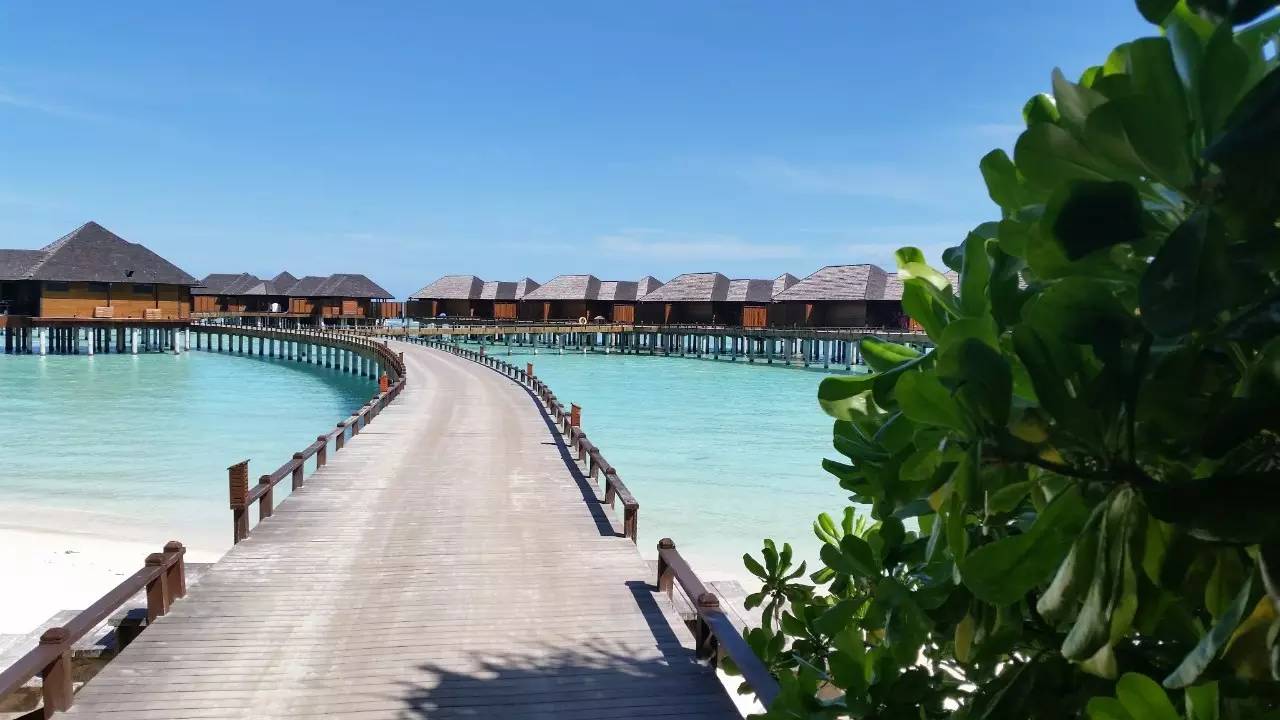十一月马尔代夫旅游攻略-马尔代夫旅游游记(图39) 十一月马尔代夫旅游攻略_马尔代夫旅游项目_马尔代夫旅游游记