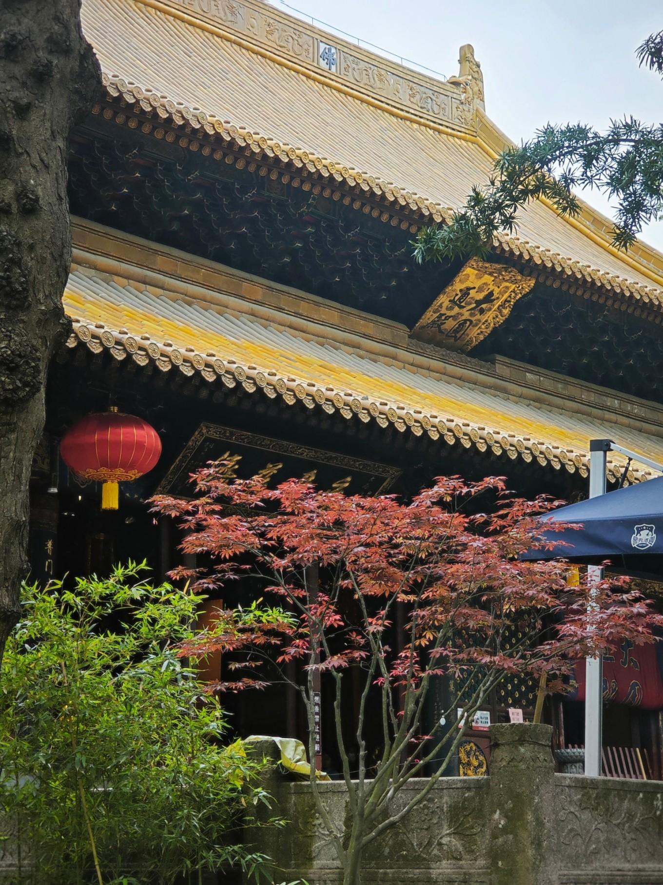 普陀山朱家尖旅游攻略_普陀山朱家尖_普陀山风景名胜区朱家尖地址