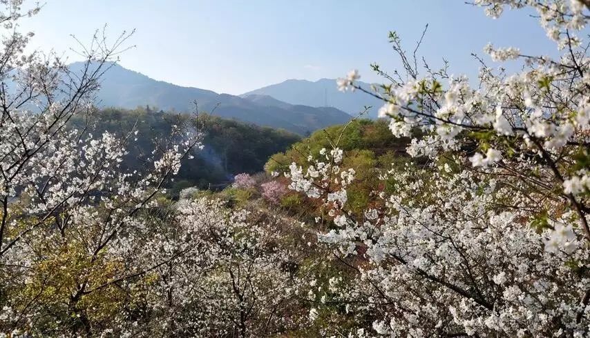 德庆盘龙峡_德庆盘龙峡旅游攻略_德庆盘龙峡谷风景区
