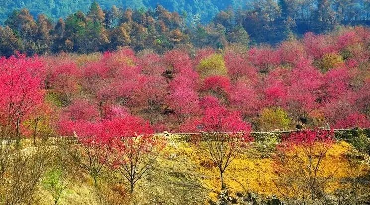 德庆盘龙峡谷风景区_德庆盘龙峡_德庆盘龙峡旅游攻略