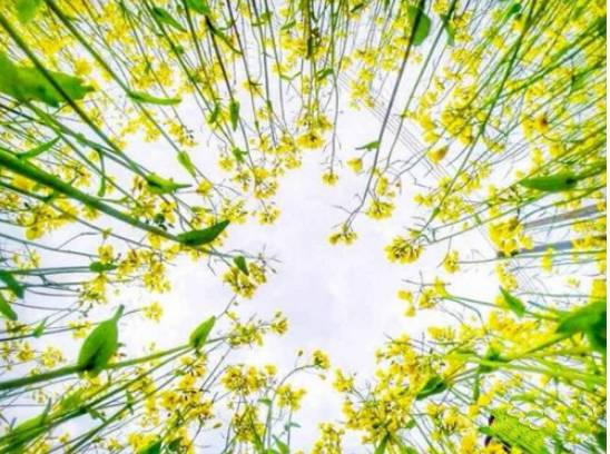 德庆盘龙峡谷风景区_德庆盘龙峡_德庆盘龙峡旅游攻略