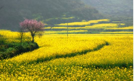 德庆盘龙峡旅游攻略_德庆盘龙峡_德庆盘龙峡谷风景区