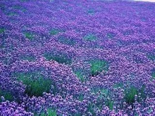 德庆盘龙峡旅游攻略_德庆盘龙峡谷风景区_德庆盘龙峡